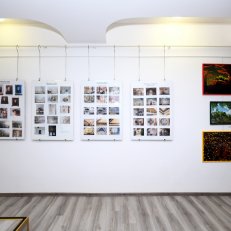 Průřez tvorbou 16. 5. 2024 (32)