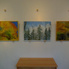 Výstava Dobruška, 04.13 (4)